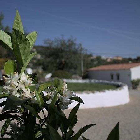 Cosy Farmhouse Quinta Da Eira 140 Years Old Лоле Экстерьер фото