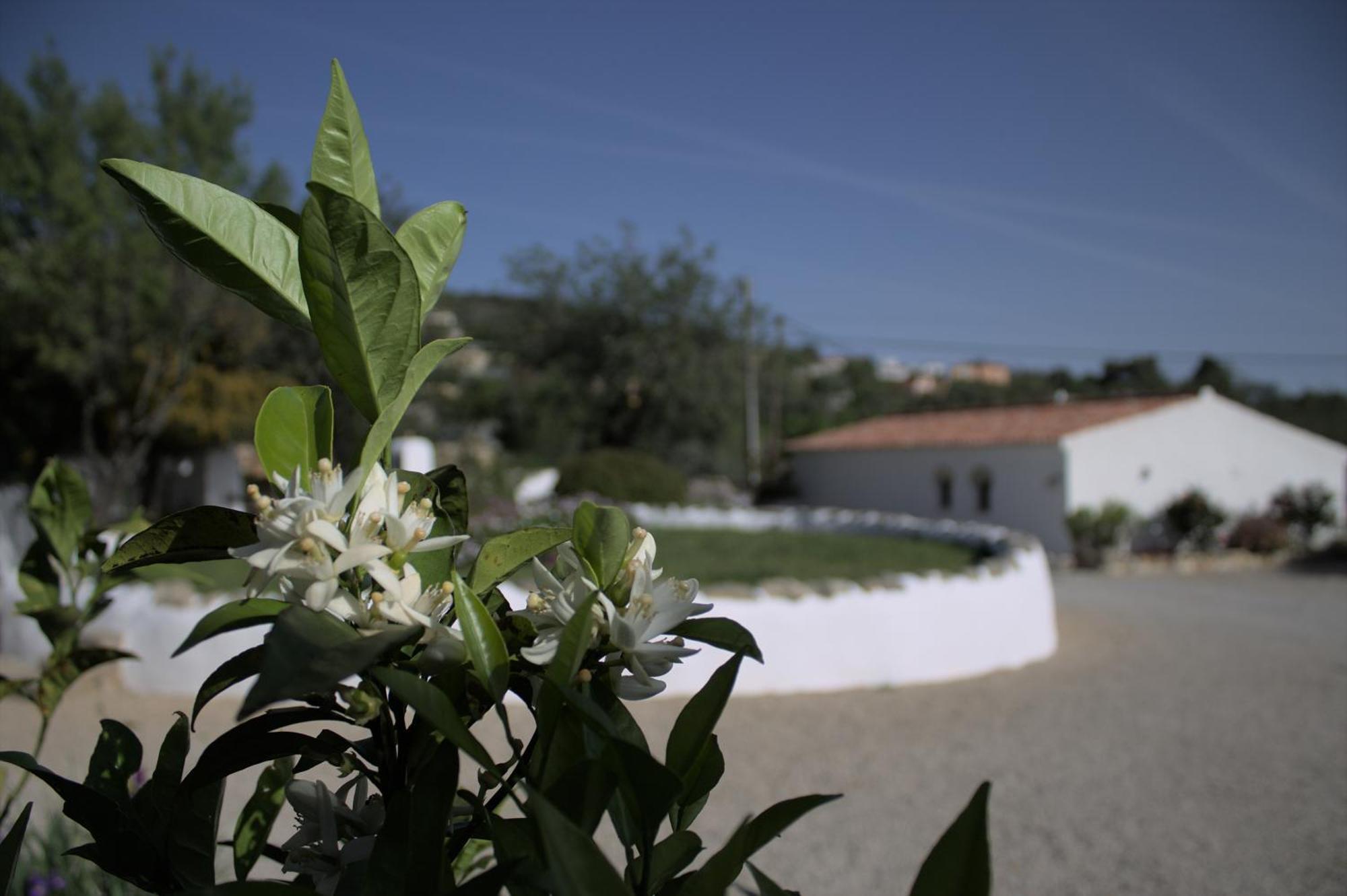 Cosy Farmhouse Quinta Da Eira 140 Years Old Лоле Экстерьер фото
